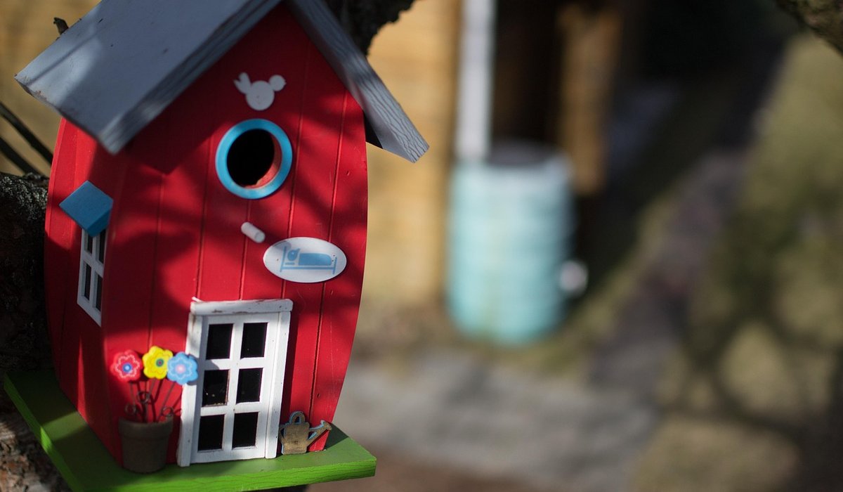 Using natural light for feeder bird photos